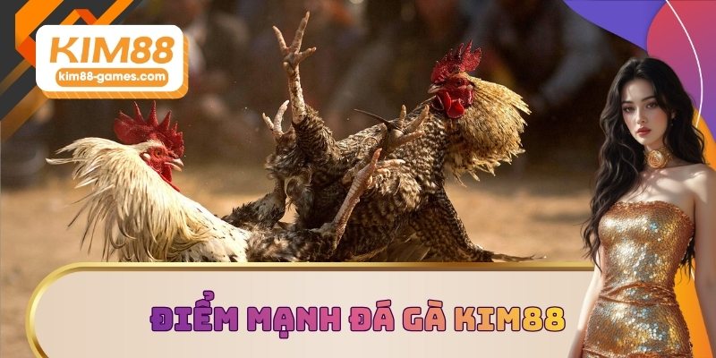 Điểm mạnh của sảnh đá gà KIM88