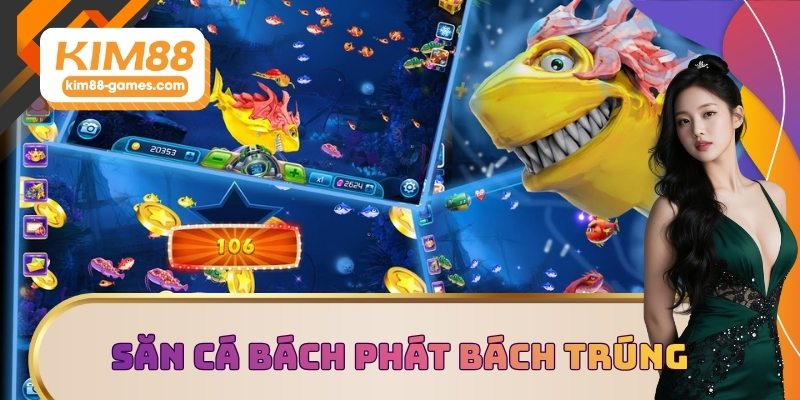 Săn cá bách phát bách trúng với mẹo hay